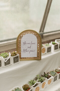 Greenhouse Wedding Succulent Gift Detail