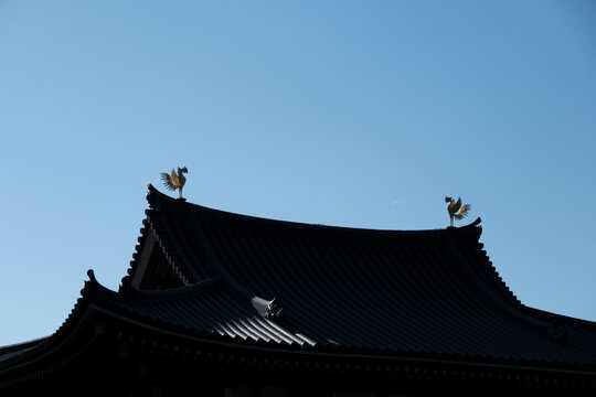 Japanese Temple Roof