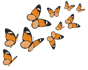 set of vector butterflies
