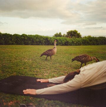 Woman doing childs pose yoga position as the Nene watch