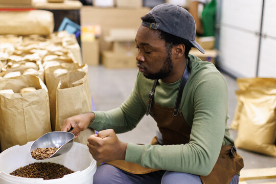 Worker taking from plastic bucket coffee beans with aluminum scoop
