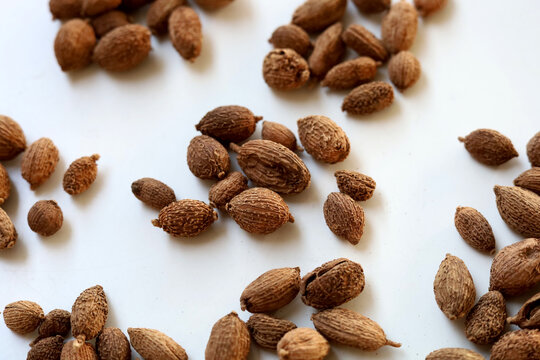 Dried Amomum villosum fruits or Sha Ren