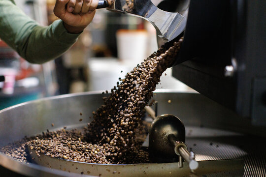 Worker controlling coffee beans falling out in bucket from machine