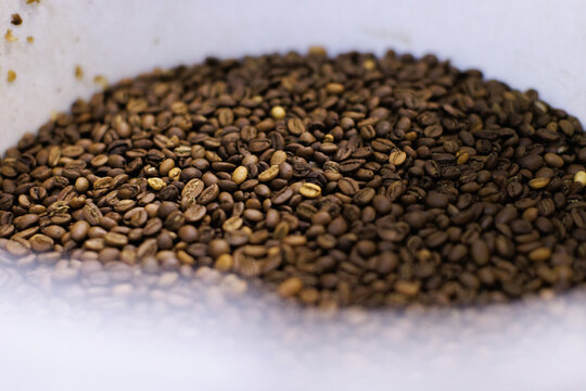 Close up of fresh roasted coffee beans in white plastic bucket