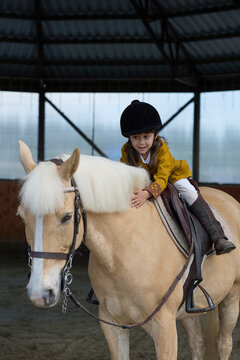 Girl stroking horse