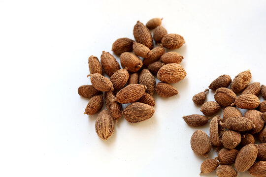 Dried Amomum villosum fruits or Sha Ren