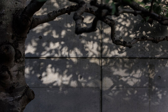 Wabi-Sabi Shadow: Zen Light and Shadow on a Fair-Faced Concrete Wall.