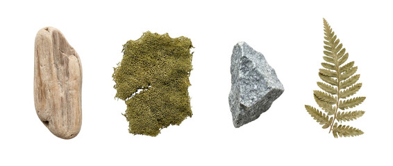 Driftwood, reindeer lichen, gray rock and fern leaf isolated on transparent background. Botanical woodland set for natural design, scrapbooking and eco templates © Vitalo4ok