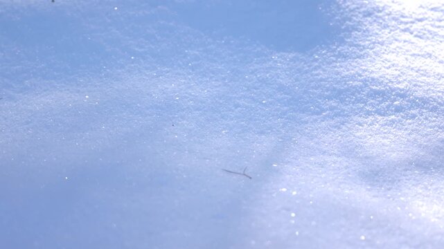Snow glistening in the sunlight 