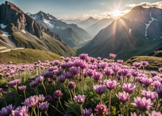 Obraz premium Mountain meadows burst with vibrant purple blooms in a serene alpine landscape
