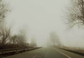 Foggy road disappearing into mist, mysterious travel background, low visibility driving concept, uncertainty, journey, risk and atmospheric landscape mood