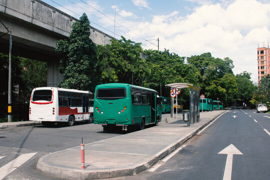 Buses Waiting at a Station on a Busy Urban Street