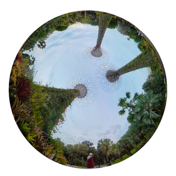 Vertical gardens for urban climate adaptation - shade and greenery