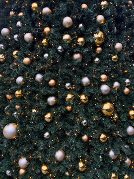 baubles in x-mas tree 