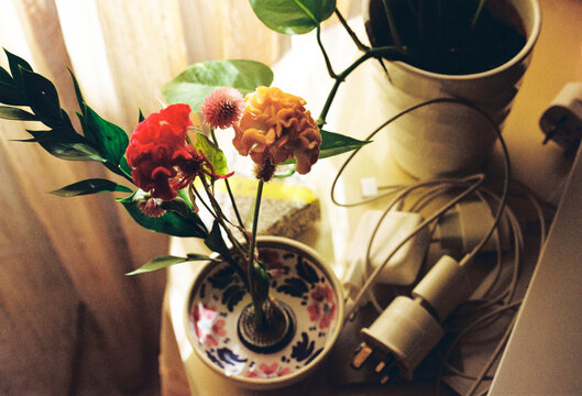 Flowers and Plants on a Table Near a Window With Electric Cords