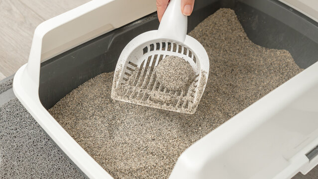 Hand holding a white scoop removing cat litter from a gray litter box, with clean litter visible inside the container