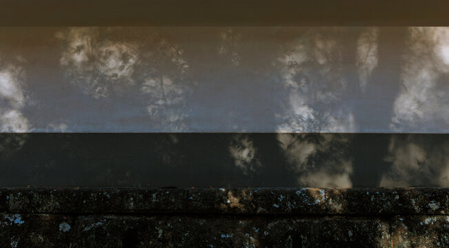 A Silent Dialogue between Ancient Stone Steps and Tr