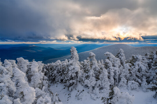 Winter's Last Light