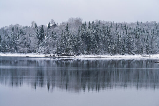Winter's Cold Reflections