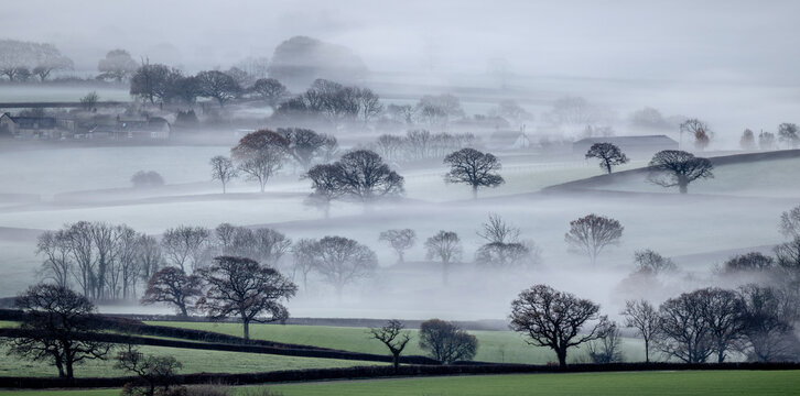 Misty fields