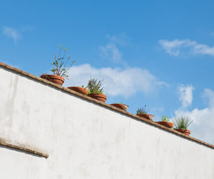 Terracotta Pots on Mediterranean White Wall