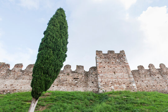 Castello Scaligero Castle Walls with Cypress Tree