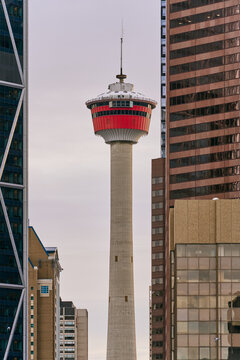 Calgary Tower Surrounded by Modern Downtown Skyscrapers