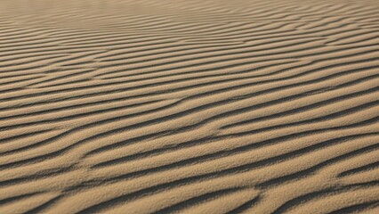 Obraz premium Rippled Sand Dunes in Desert Landscape
