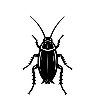 A professional woodcut-style black and white cockroach icon isolated on white, perfect for pest control branding, scientific infographics, and educational content.