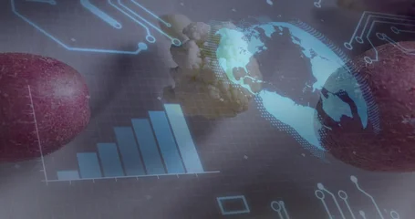 Fotobehang Buffet Hovering holographic globe glowing over cauliflower floret in studio, with bar chart and red apples  © vectorfusionart