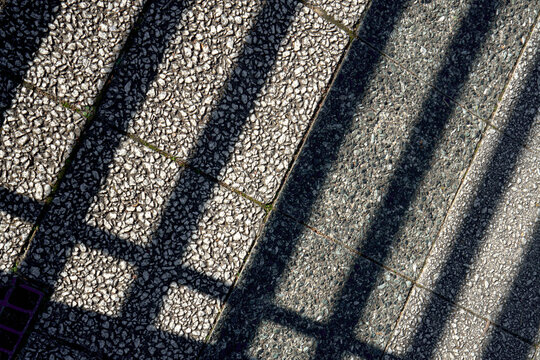 Shadows Cast on Pavement Create Pattern at Midday in the City