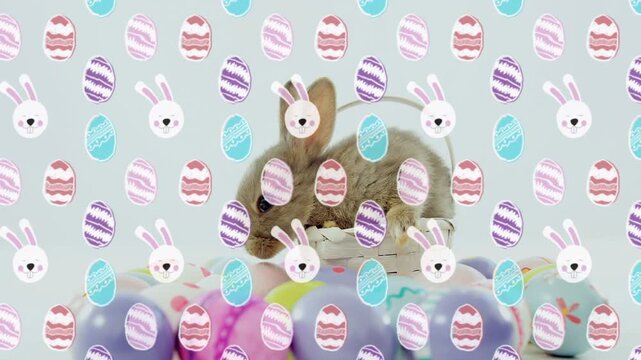 Small brown rabbit lifting head after ear twitch, turning, sniffing pastel eggs behind overlay