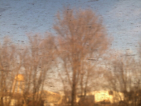 Blurry tree reflections on scratched surface