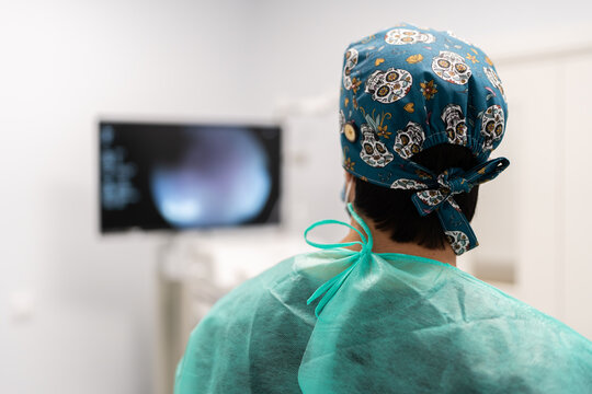Veterinarian performing endoscopy procedure in veterinary hospital