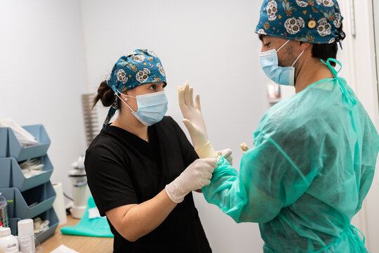 Veterinary assistant helping surgeon putting on medical gloves