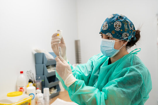 Veterinarian preparing syringe with vaccine for injection