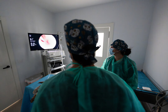 Veterinarians performing endoscopy during surgical procedure