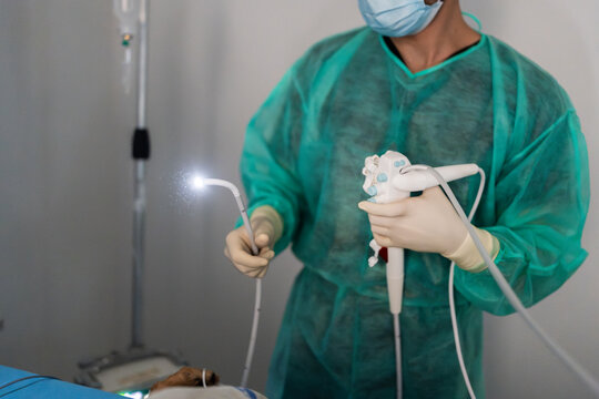 Veterinarian performing endoscopic surgery on animal in clinic
