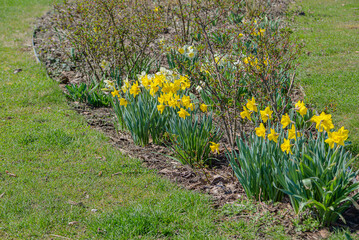 Flower Garden Design. Natural Curved Bed With Seasonal Plants. Community Green Space With Blooming Flowers And Lush Grass