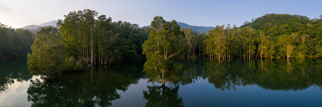 Shing mun Reservoir Flooded Forest Hong Kong