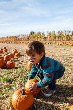Boy picking pumpkin at autumn patch with face paint