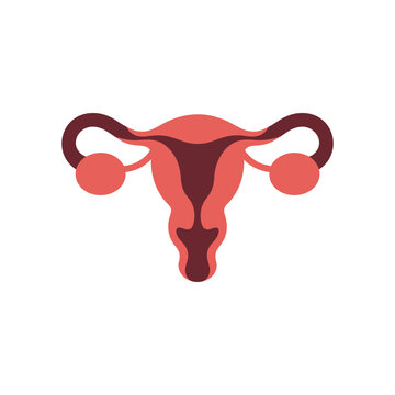 A graphic illustration of a female reproductive system with uterus and ovaries on a white background