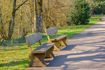 Sunlit Park With Peaceful Benches. Quiet Pathway Shaded By Lush Green Trees. Gentle Breeze Stirs Leaves As Birds Sing In Park