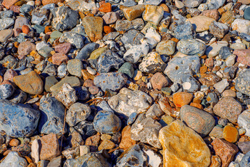 Closeup Of Weathered Coast Stones And Shells. Textured Seaside Surface Featuring Colored Pebbles And Mineral Details
