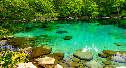 Vibrant Turquoise Lake Reflecting Lush Green Forest.