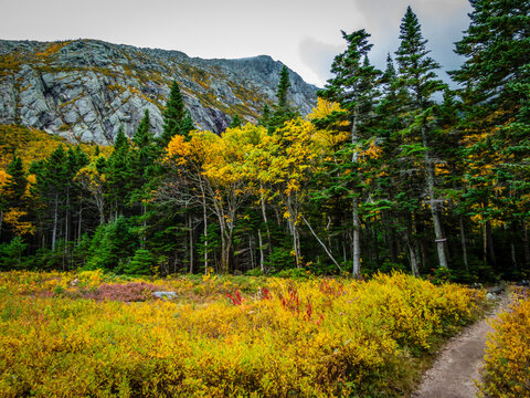 Chimney Pond trail hike at Baxter State Park, Maine, with peak fall foliage on an overcast cloudy day