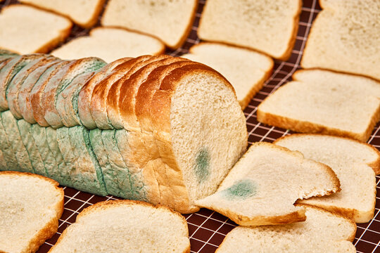 Colorful moldy sliced bread on tablecloth