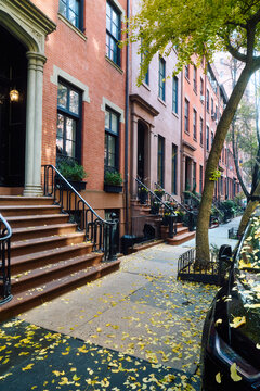 Fall in Manhattan residential streets