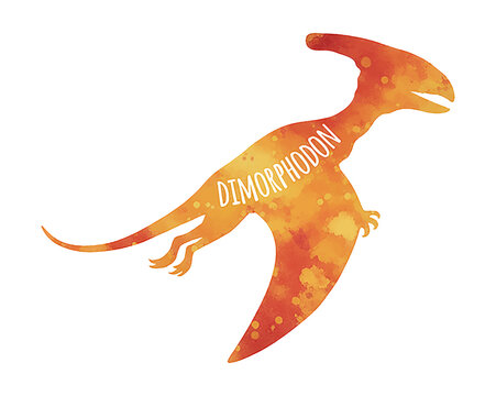 Vibrant watercolor textured Dimorphodon dinosaur flying silhouette educational graphic element