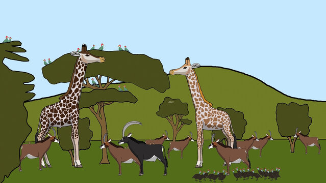 Angolan giraffe: The Crown of Canganadala
